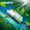 正品 LANA 系列 鐵觀音小煙油30ml
